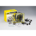Clutch Kit Schaeffler LuK 602 0008 00