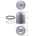 Oil Filter MAHLE OZ 1D