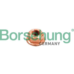 Ruuvi, pakoputkisto Borsehung B10638