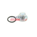 Screw Plug, automatic transmission casing FAST FT94745