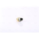 Sensor, coolant temperature NISSENS 207048