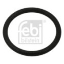 Seal Ring, oil drain plug FEBI BILSTEIN 100999