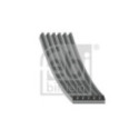 V-ribbed Belt FEBI BILSTEIN 38246