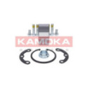 Wheel Bearing Kit KAMOKA 5600064