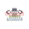 Комплект подшипника ступицы колеса KAMOKA 5600064