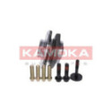Wheel Bearing Kit KAMOKA 5500067