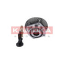 Комплект подшипника ступицы колеса KAMOKA 5500067