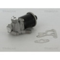 EGR Valve TRISCAN 8813 29100