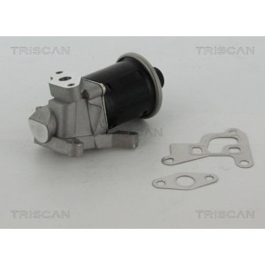 EGR Valve TRISCAN 8813 29100