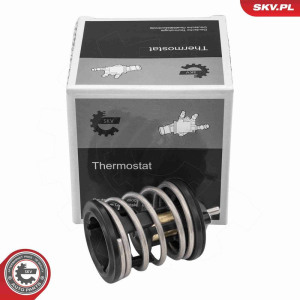 Термостат, охлаждающая жидкость ESEN SKV 20SKV268