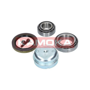 Wheel Bearing Kit KAMOKA 5600060