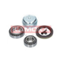 Wheel Bearing Kit KAMOKA 5600060