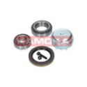 Wheel Bearing Kit KAMOKA 5600060