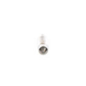 Bulb, interior light BOSCH 1 987 302 810