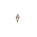 Spark Plug BOSCH 0 242 240 592