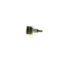 Sensor, intake air temperature BOSCH 0 281 002 046