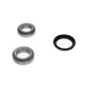 Комплект подшипника ступицы колеса KAVO PARTS WBK-7501