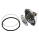 Thermostat, coolant BorgWarner (Wahler) 4150.83D50