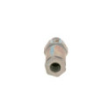 Pressure Limiting Valve, common rail system BOSCH 1 110 010 020