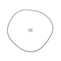 Seal Ring, wheel hub DT Spare Parts 2.35052