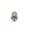 Pressure Limiting Valve, common rail system BOSCH 1 110 010 021