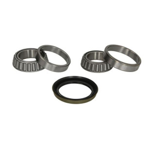 Комплект подшипника ступицы колеса BTA H10060BTA