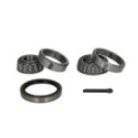 Wheel Bearing Kit BTA H21004BTA