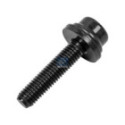 Kruvi,väljalaske kollektor DT Spare Parts 4.40367