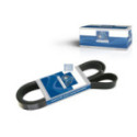 V-ribbed Belt DT Spare Parts 6.31511