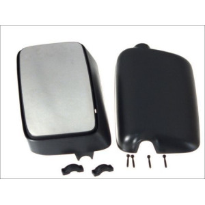 Exterior Mirror PACOL MAN-MR-014