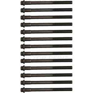 Klapikaanekruvikomplekt VICTOR REINZ 14-32300-01