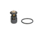 Thermostat, coolant THERMOTEC D2A005TT