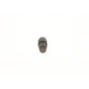 Pressure Limiting Valve, common rail system BOSCH F 00N 010 070