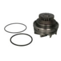 Water Pump, engine cooling THERMOTEC WP-RV115