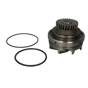 Water Pump, engine cooling THERMOTEC WP-RV115