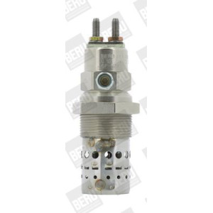 Hehkutulppa BorgWarner (BERU) GF529
