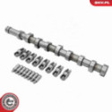 Комплект распредвала ESEN SKV 80SKV300
