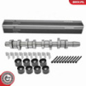 Комплект распредвала ESEN SKV 80SKV306