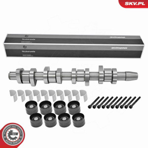 Nukkvõllikomplekt ESEN SKV 80SKV306