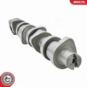 Camshaft Kit ESEN SKV 80SKV306
