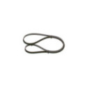V-ribbed Belt BOSCH 1 987 948 490