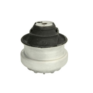 Paigutus,Mootor REINHOCH RH11-3003