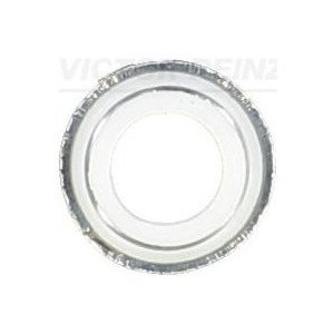 Seal Ring, valve stem VICTOR REINZ 70-25792-00