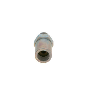 Paineenrajoitusventtiili, Common-Rail BOSCH 1 110 010 021