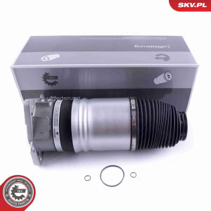 Пневматическая рессора, ходовая часть ESEN SKV 58SKV046