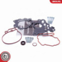 Repair Set, vacuum pump (braking system) ESEN SKV 18SKV804