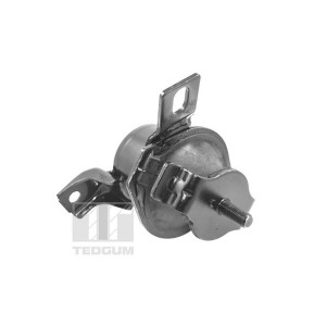 Paigutus,Mootor TEDGUM 00441120