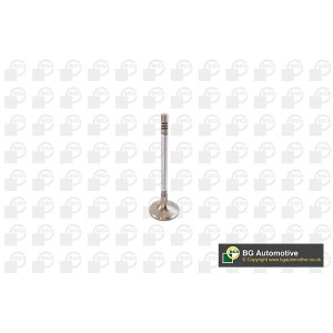 Впускной клапан BGA V142049