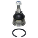 Pallonivel DENCKERMANN D110199