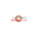 Heat Shield, injection system FAST FT49846